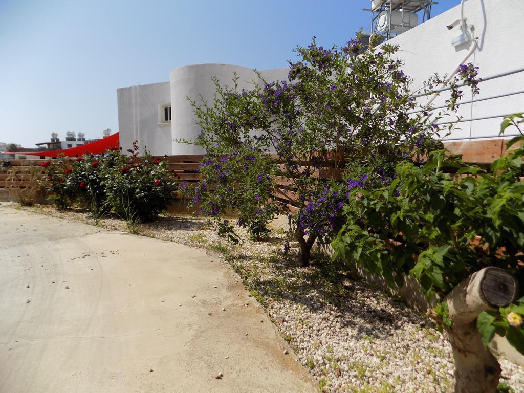 Hôtel Kyriakos Court à Paphos Extérieur photo