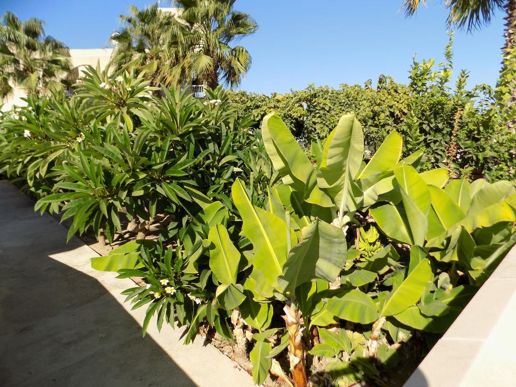 Hôtel Kyriakos Court à Paphos Extérieur photo